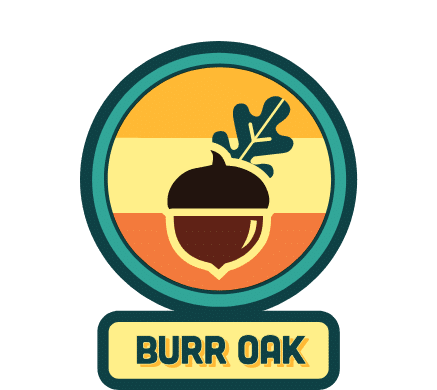 Burr Oak tree badge featuring an acorn and oak leaf illustration with the words “Burr Oak” below.