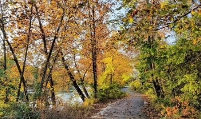 Wooded walking trail lined with trees displaying vibrant yellow, orange, and green autumn foliage, with a river visible nearby.