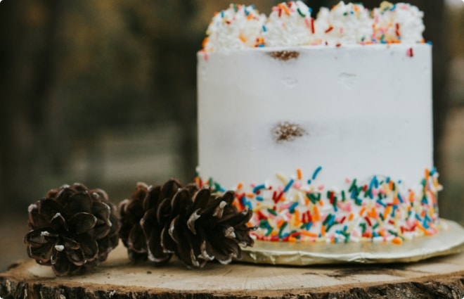 White frosted cake decorated with colorful sprinkles, displayed beside pinecones on a rustic wooden table.