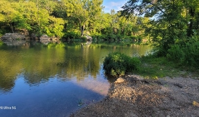 Peaceful river bordered by lush green trees and a rocky shoreline, with reflections on the water.