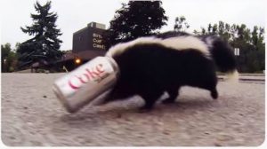 Skunk and diet coke