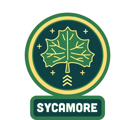 Sycamore tree badge featuring a green and gold leaf illustration with the word “Sycamore” below.