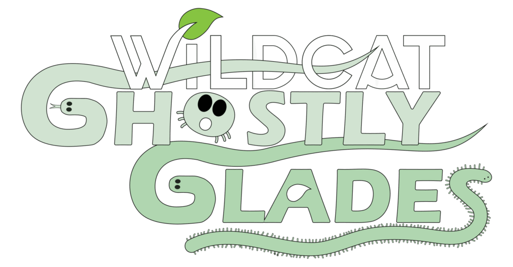 Wildcat Ghostly Glades